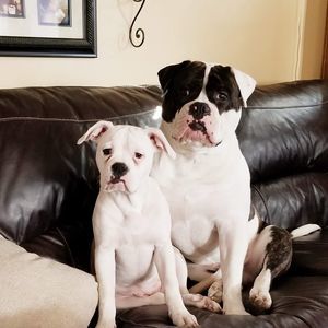 Meet your Posher, Tim